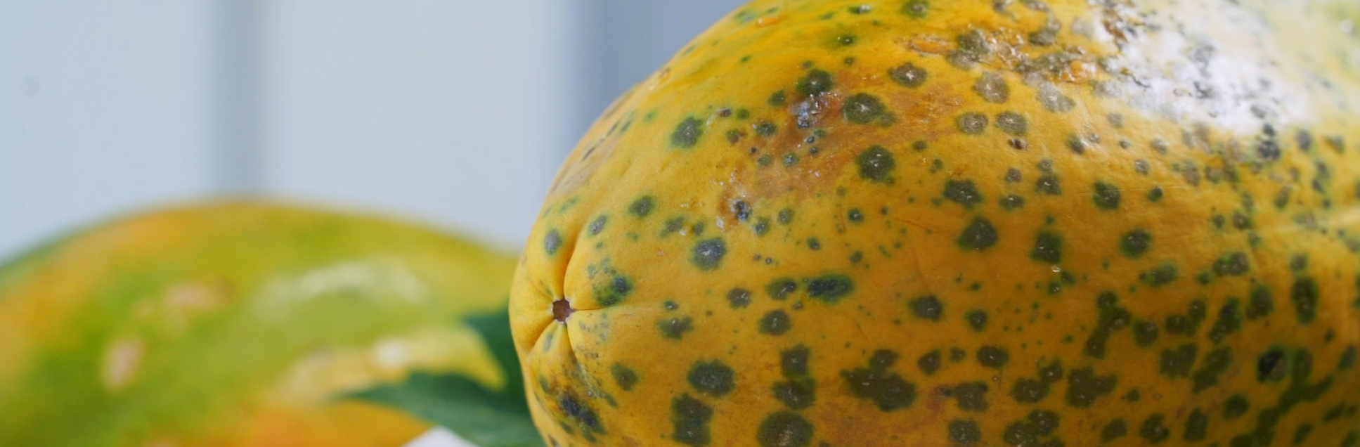 FOTOS PÁGINA INICIAL SITE