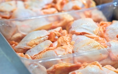 Exportações de carne de frango do Brasil devem subir quase 4% em 2026