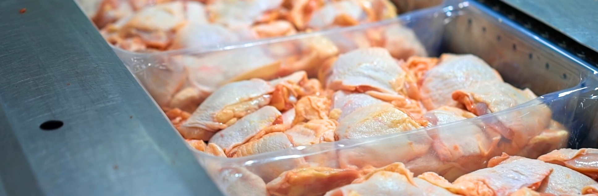 FOTOS PÁGINA INICIAL SITE