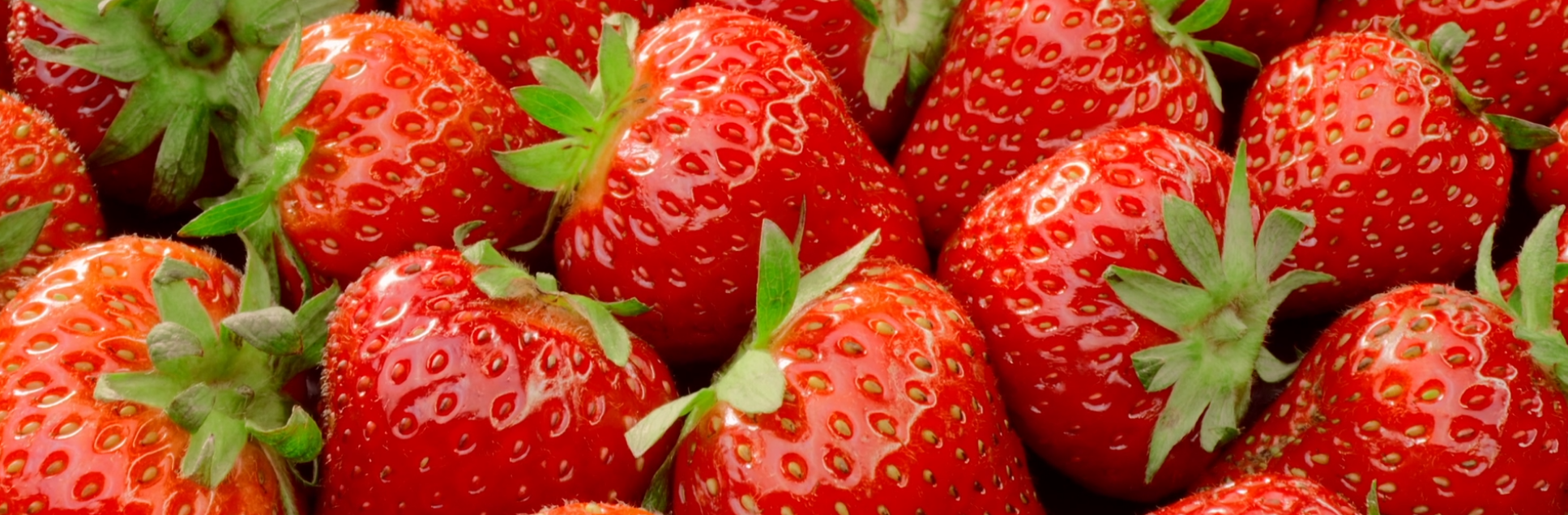 FOTOS PÁGINA INICIAL SITE