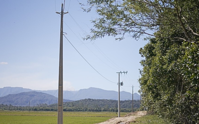 Ampliação da rede trifásica fortalece produção rural em Santa Catarina