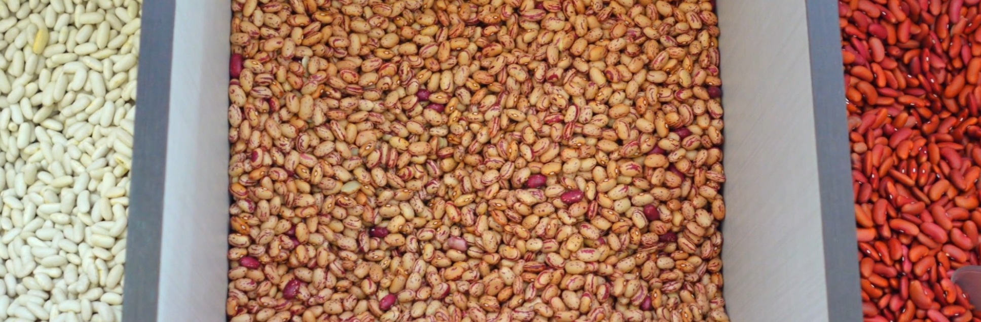 FOTOS PÁGINA INICIAL SITE