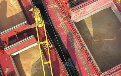 Exportações de soja do Brasil devem superar 16 milhões de toneladas em março