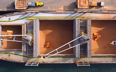 Brasil amplia exportações com venda de castanhas para a Turquia e carne suína para Singapura