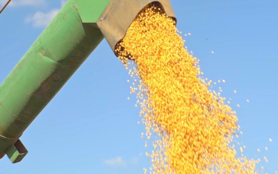 Tensão entre Estados Unidos e Irã ameaça exportações de milho e soja