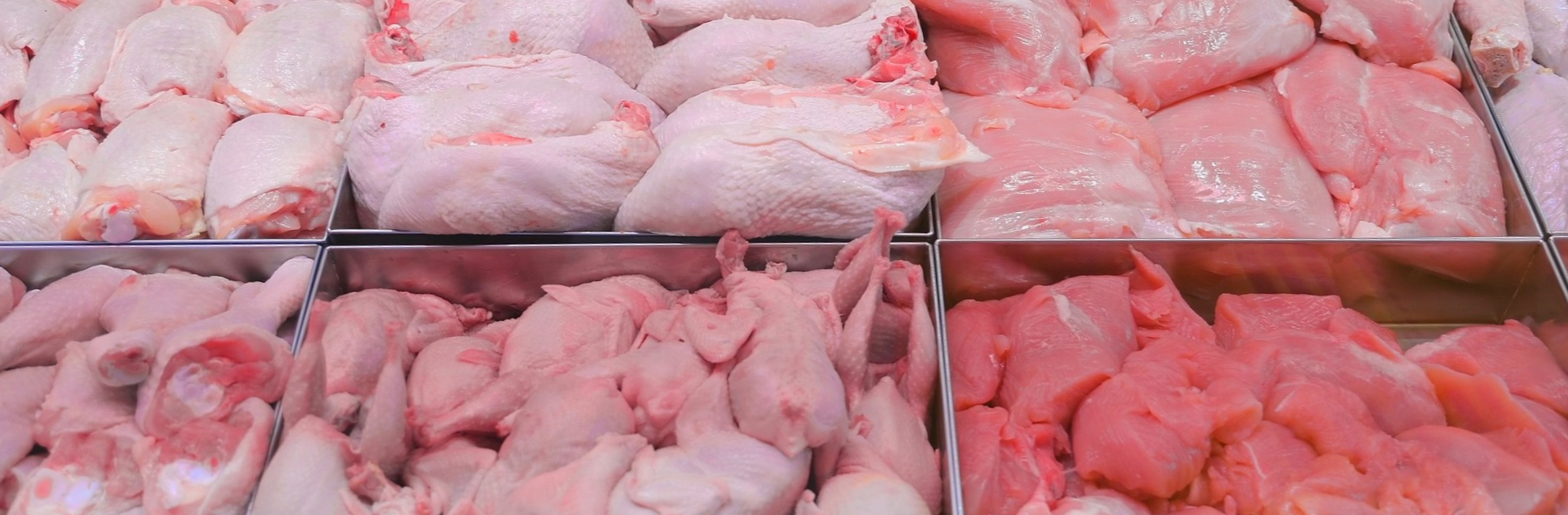 FOTOS PÁGINA INICIAL SITE