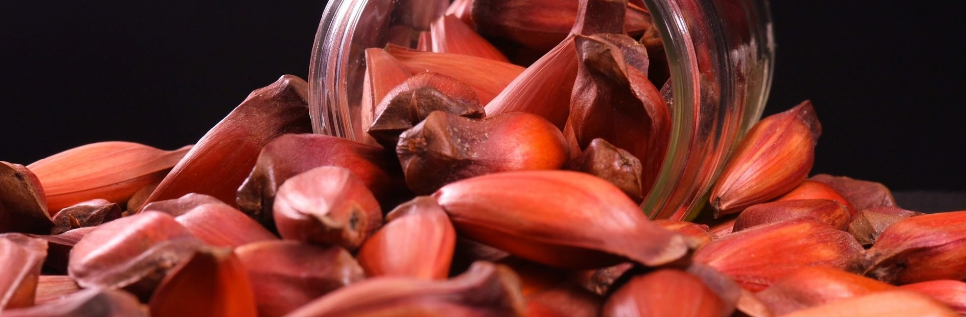 FOTOS PÁGINA INICIAL SITE