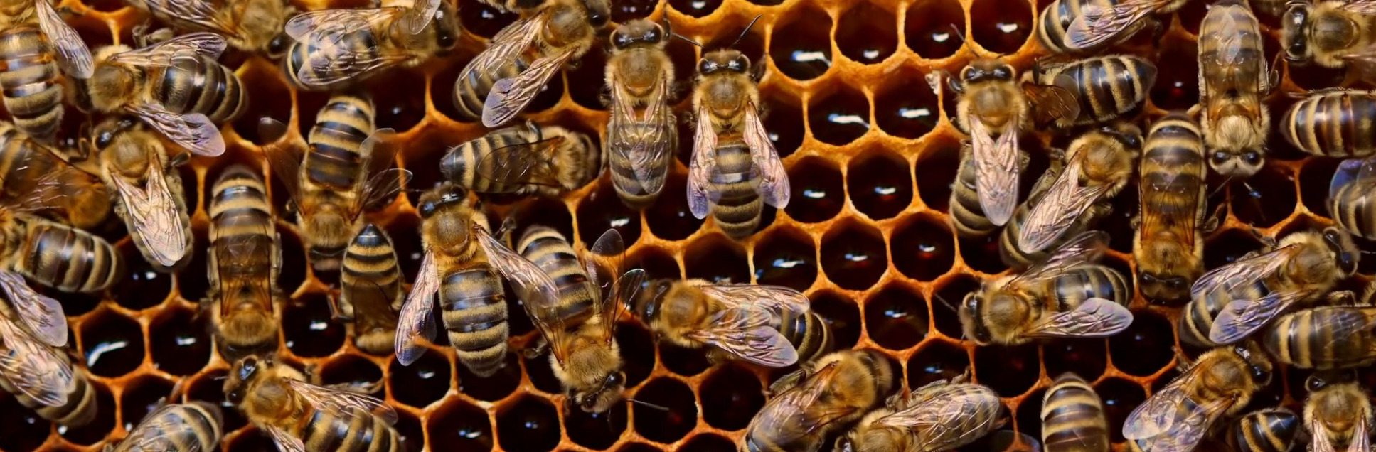 FOTOS PÁGINA INICIAL SITE