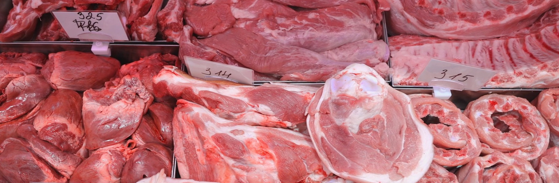 FOTOS PÁGINA INICIAL SITE