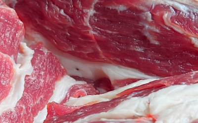 Grande Oeste catarinense concentra 70% da produção bilionária de suínos