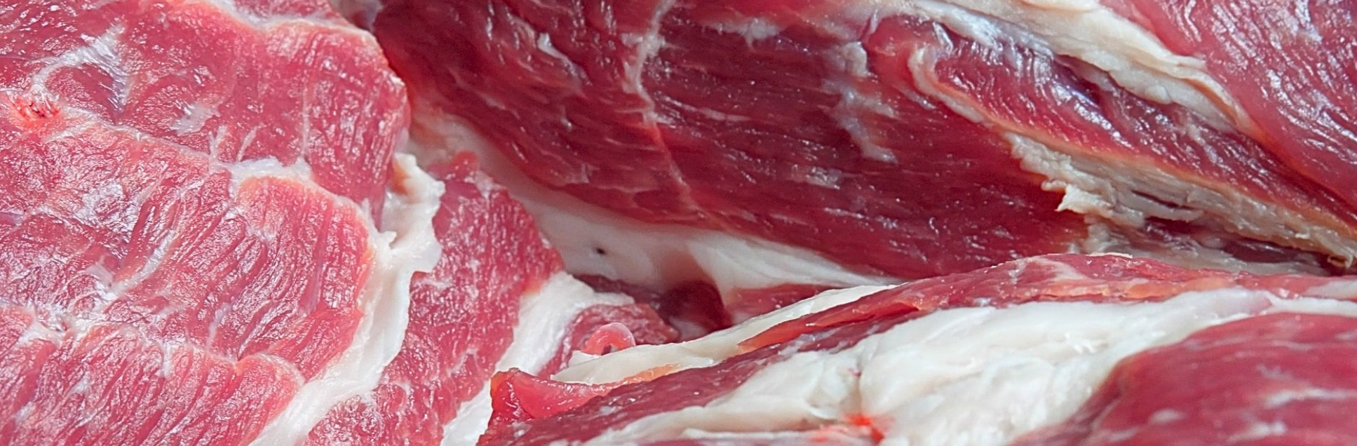 FOTOS PÁGINA INICIAL SITE