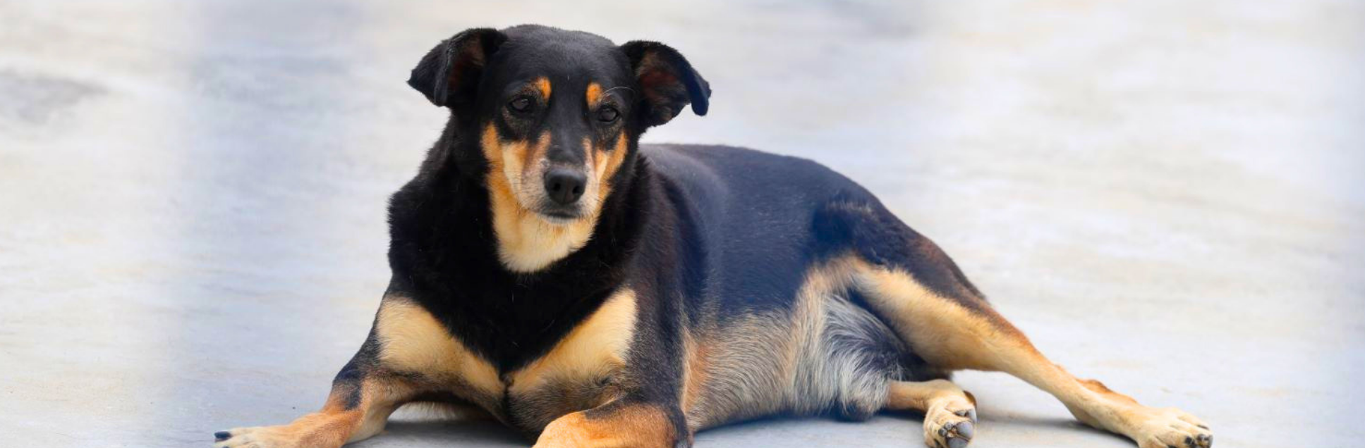 FOTOS PÁGINA INICIAL SITE