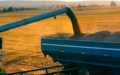 Colheita de soja no Brasil atinge oitenta e dois por cento da área enquanto milho sofre com a estiagem