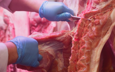 Santa Catarina atinge faturamento inédito com exportação de carnes no primeiro trimestre