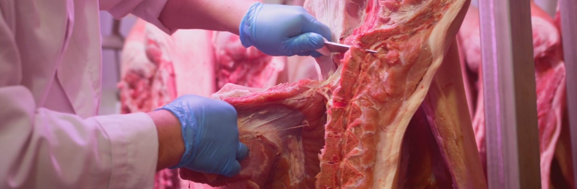 FOTOS PÁGINA INICIAL SITE