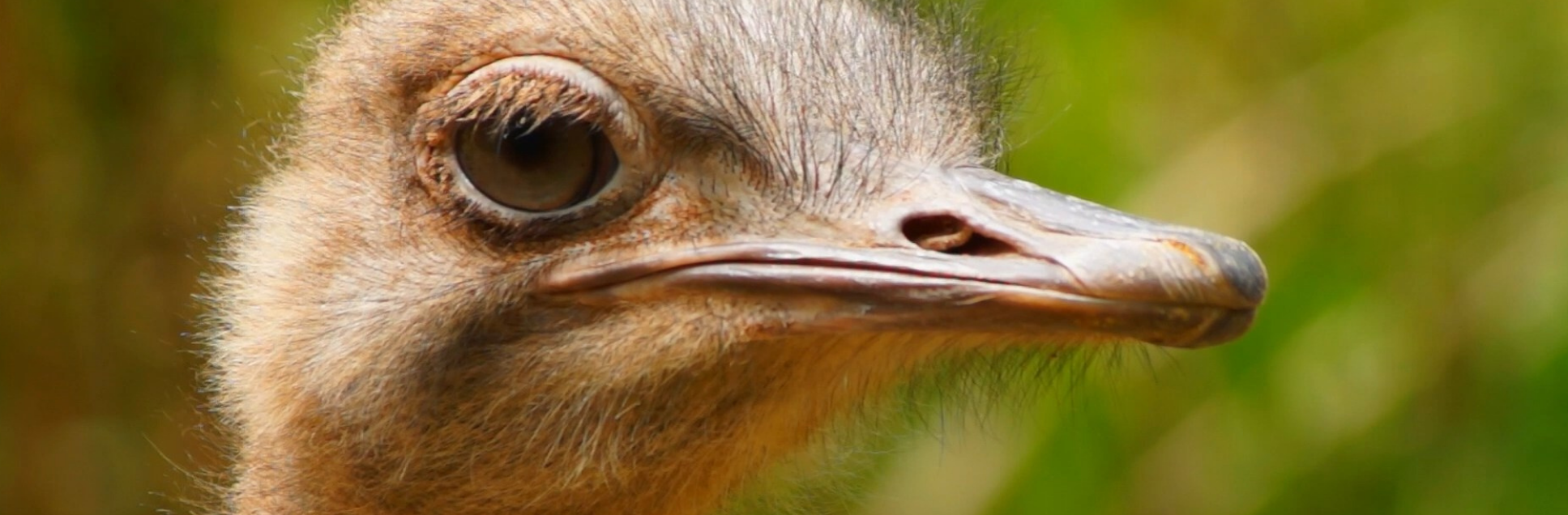 FOTOS PÁGINA INICIAL SITE