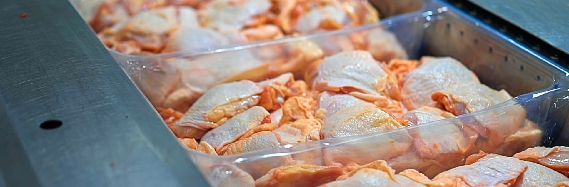 FOTOS PÁGINA INICIAL SITE