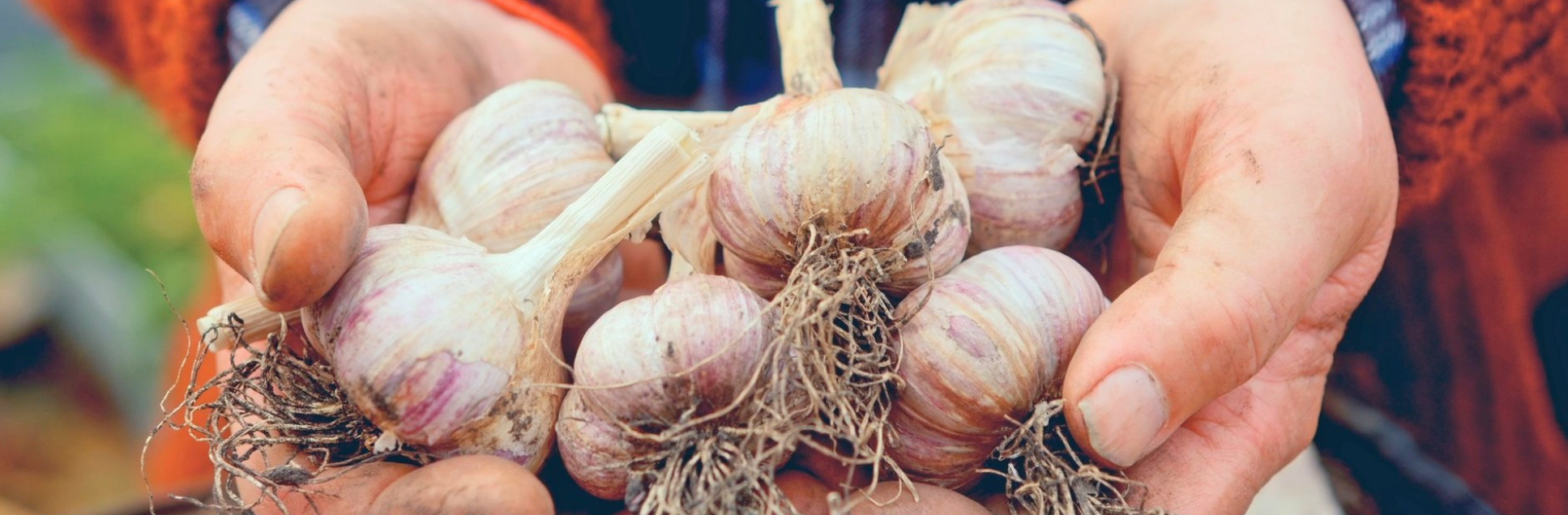 FOTOS PÁGINA INICIAL SITE