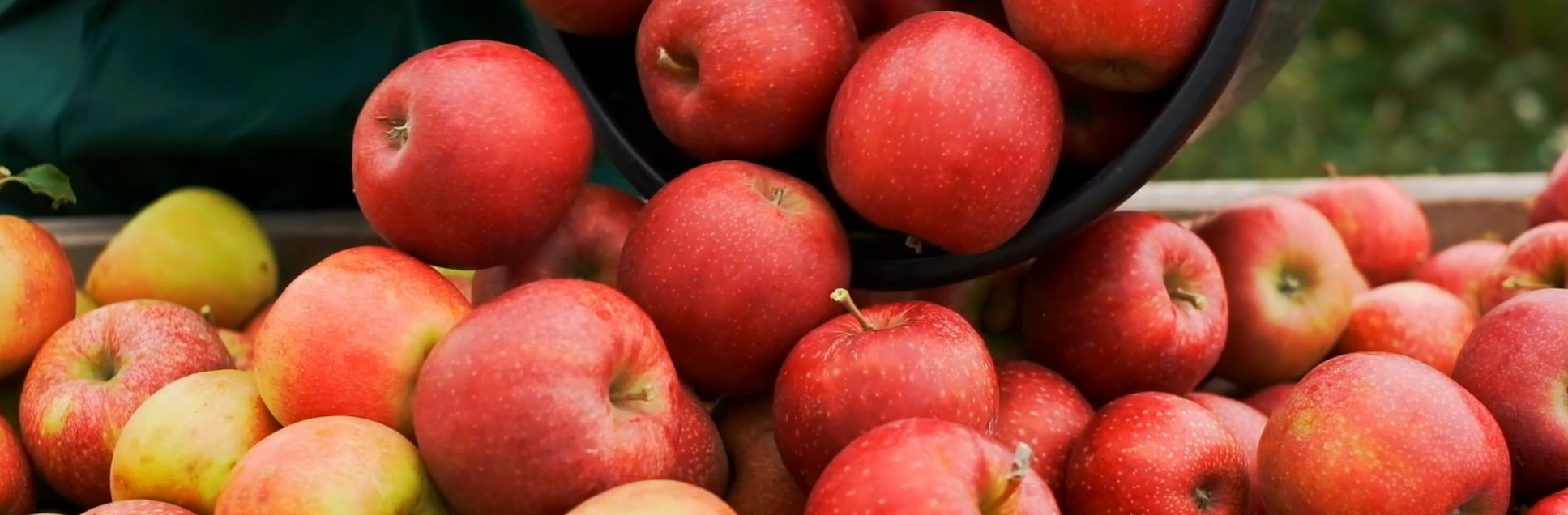 FOTOS PÁGINA INICIAL SITE