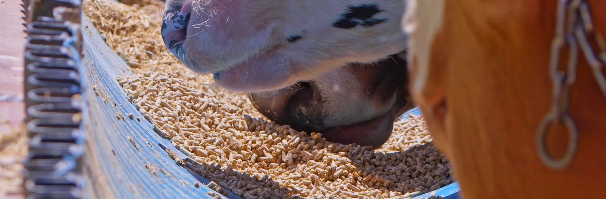 FOTOS PÁGINA INICIAL SITE