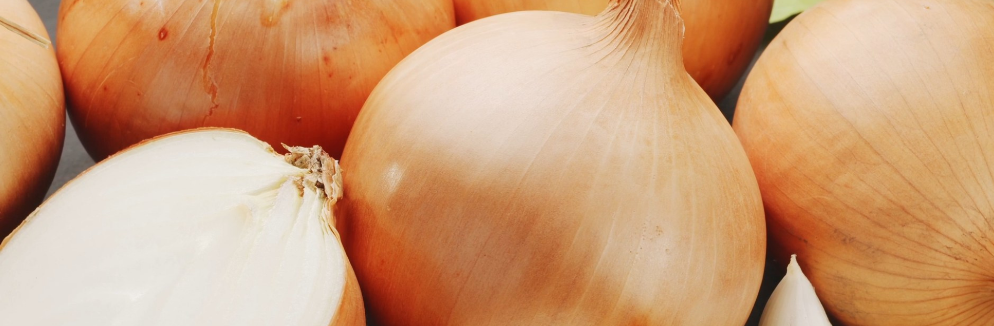 FOTOS PÁGINA INICIAL SITE