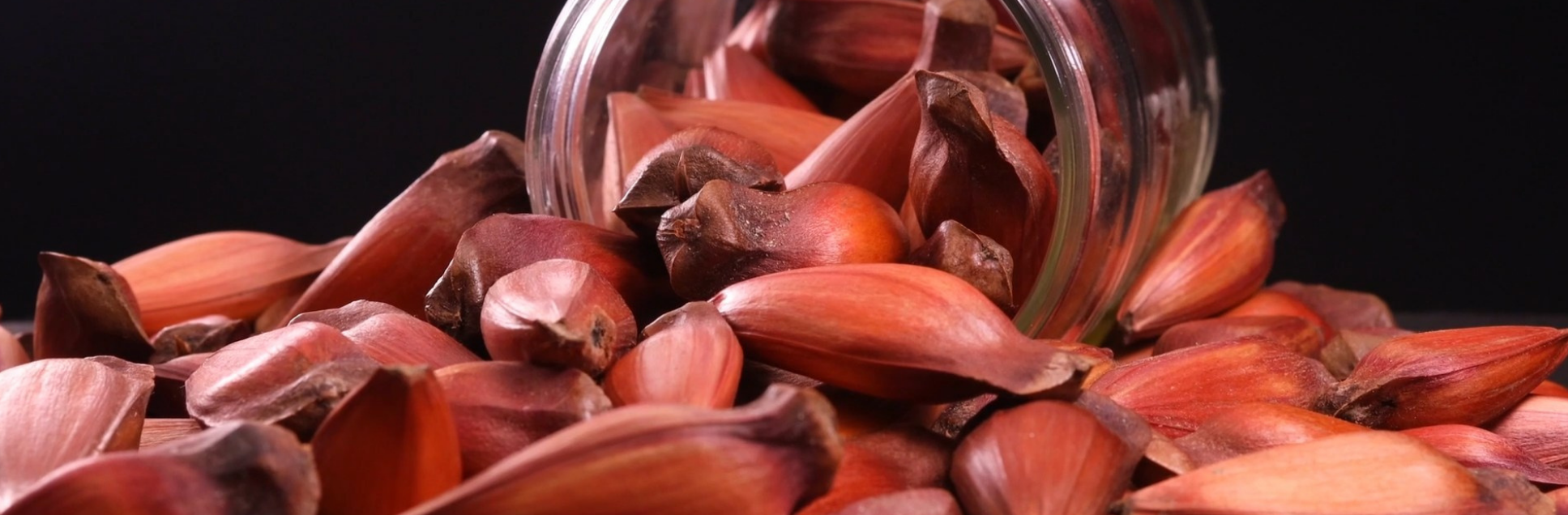 FOTOS PÁGINA INICIAL SITE