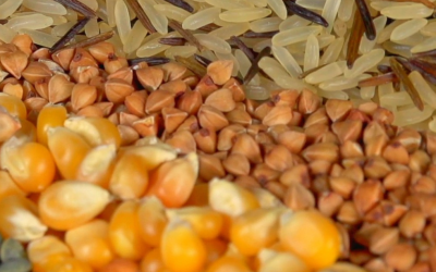 Preço global dos alimentos dispara e atinge maior nível em três anos