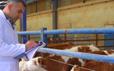 União Europeia proíbe importação de carnes e produtos de origem animal do Brasil