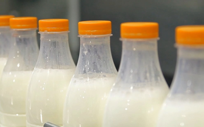 Nova ferramenta financeira protege produtores de leite contra a variação de preços no Brasil
