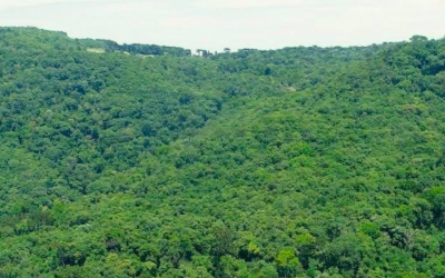 No Junho Verde, Governo do Estado destaca projetos e ações que impulsionam o desenvolvimento sustentável de Santa Catarina