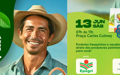 62ª Feira Livre Municipal Movimenta Palmitos com Produtos Frescos
