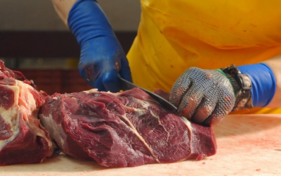 Brasil atinge limite de exportação de carne para a China em agosto e preço do boi cai