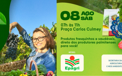 64ª Feira Livre Municipal de Palmitos: Sabor, Saúde e Tradição na Praça