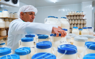 Produtores de leite de Santa Catarina se unem contra crise e importações do Mercosul