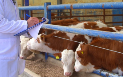 Santa Catarina registra 27 casos de raiva em animais de produção em 2026
