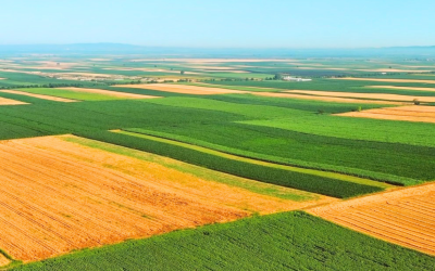 Agronegócio acumula 256 bilhões de reais em dívidas e crédito rural fica mais restrito