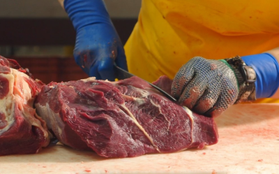 Brasil pode dominar nova cota de importação de carne dos Estados Unidos