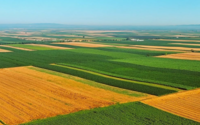 Produção agrícola do Oeste catarinense supera 5 bilhões de reais em 2025