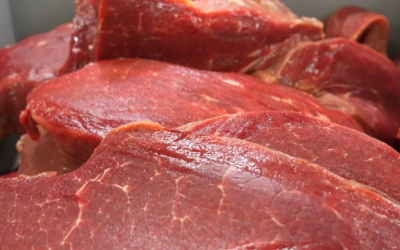 Acordo para uso da cota uruguaia de carne pelo Brasil terá impacto real apenas em 2027