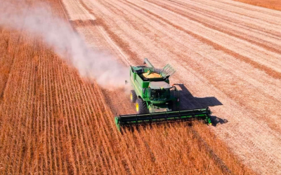 Valorização do real reduz preços da soja no Brasil, mas exportações recordes limitam quedas