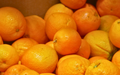 Preço da laranja destinada à indústria cai com redução nas compras e estoques elevados de suco